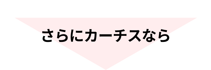 さらにかチースなら